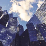 CEO’s background: how does it impact performance and strategy?